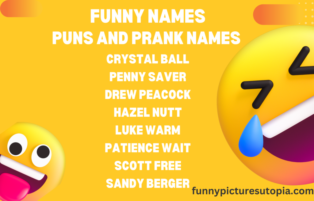 funny puns and prank names